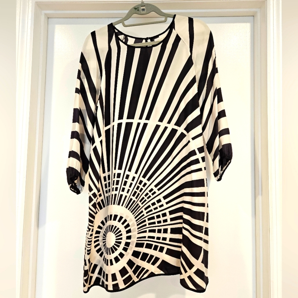 Silk Bullseye Dress Size L BB Dakota